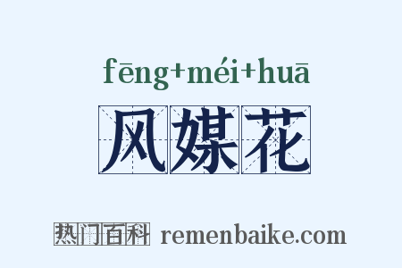 风媒花是什么意思的图片